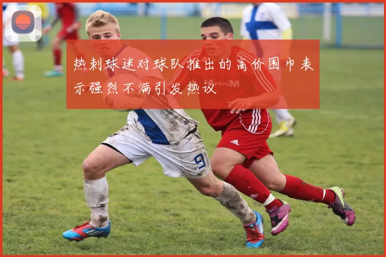 热刺球迷对球队推出的高价围巾表示强烈不满引发热议