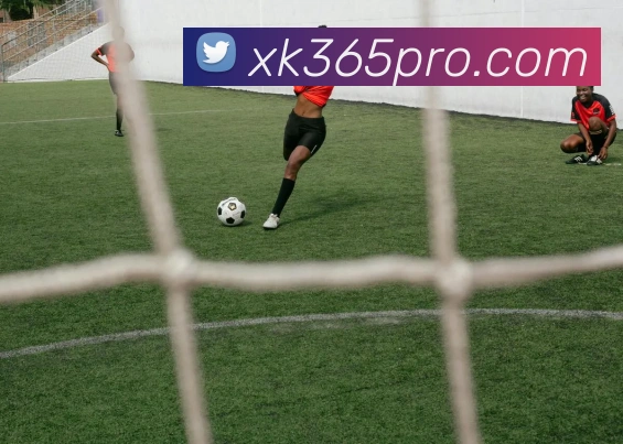 星空体育平台生态图