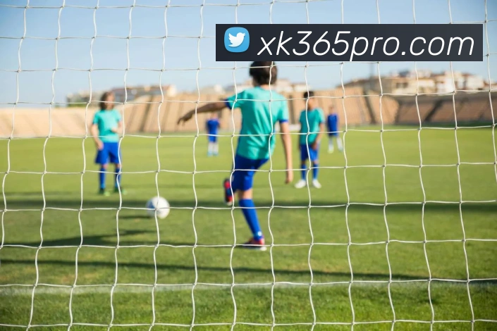 星空体育APP 封面图